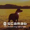 Scarab Beacon Ultimate Dog Safety Light