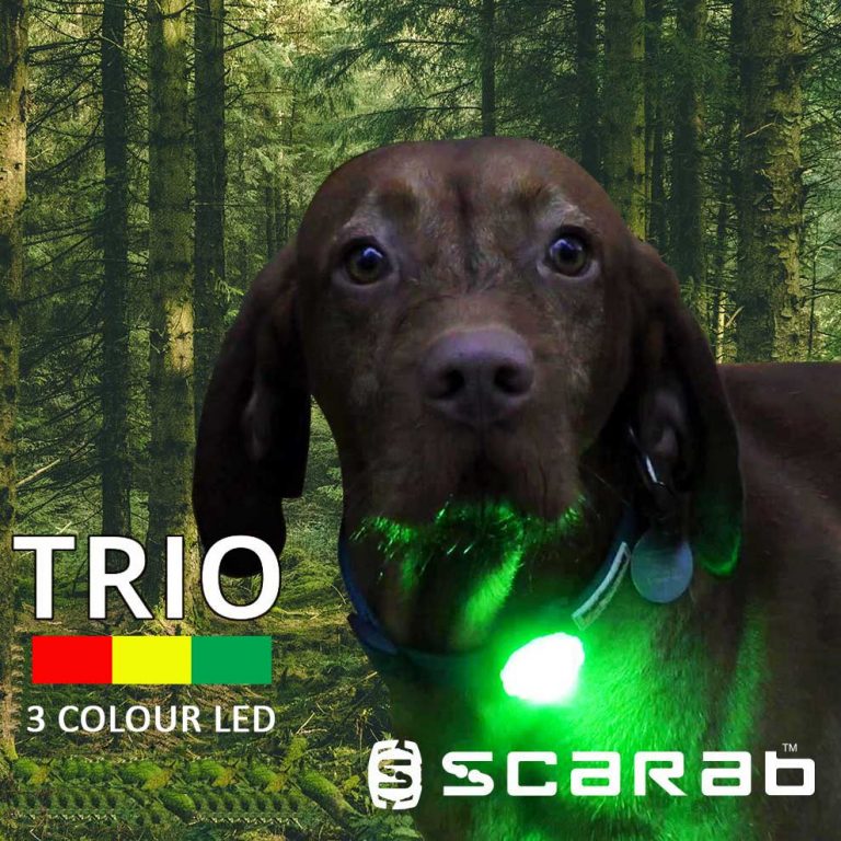 Scarab Beacon TRIO Dog Light
