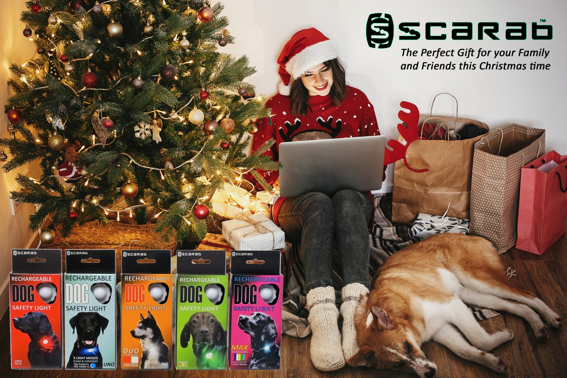 Scarab Dog Light The Perfect Gift for Dog Owners this Christmas