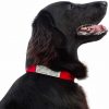 Collar Buddy Personalised Dog Collar Name Tag Label