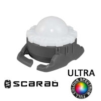Scarab Ultra Full Colour Spectrum Dog Safety Light